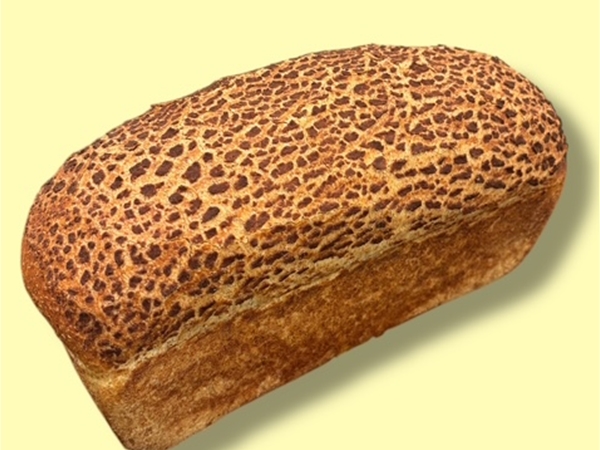TIJGER BRUIN