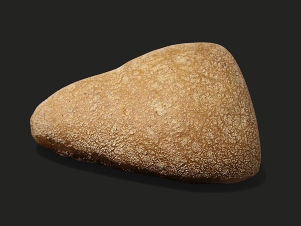 Panini